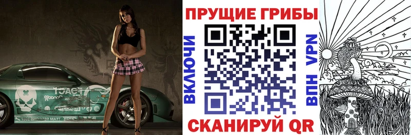 hydra ссылки  Бабушкин  Галлюциногенные грибы Psilocybe 